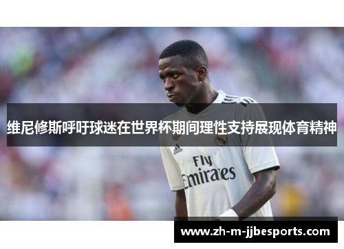 维尼修斯呼吁球迷在世界杯期间理性支持展现体育精神