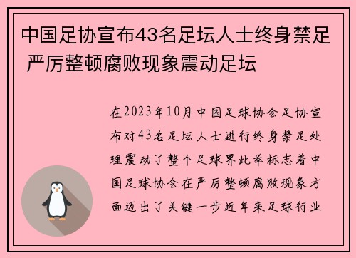 中国足协宣布43名足坛人士终身禁足 严厉整顿腐败现象震动足坛 中国足协宣布43名足坛人士终身禁足 严厉整顿腐败现象震动足坛